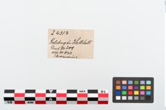 Etiketten zu Bronzeknotenarmreif (NHMW-PRAE-024313)